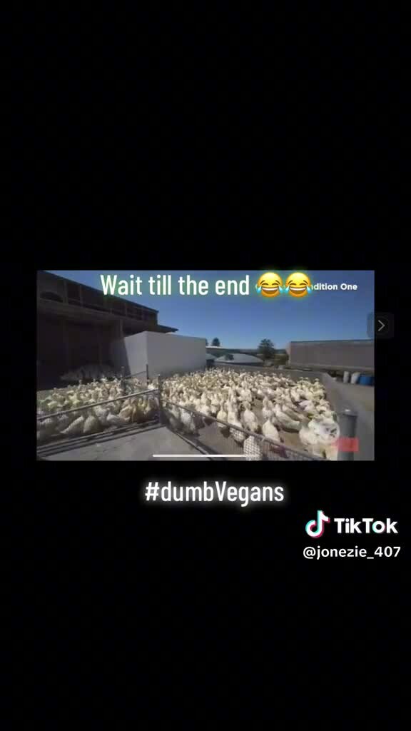 Preview for 64894856