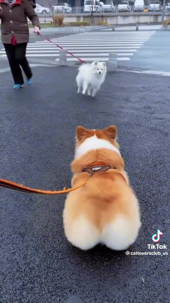 Preview for 69016499