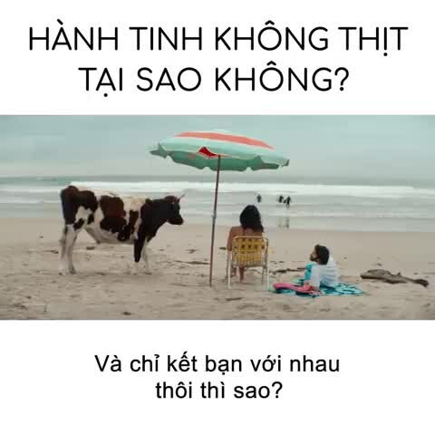 Preview for tương lai không thịt đã và đang xảy ra …