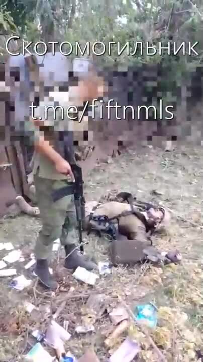 Preview for vid 20230612 013101 695