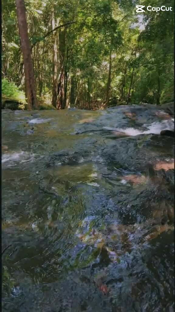 Preview for 22507268