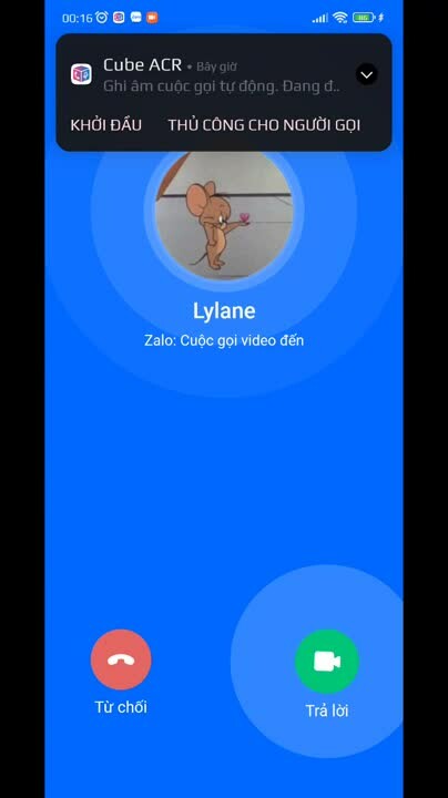 Preview for screenrecorder 2023 04 01 00 16 30 656