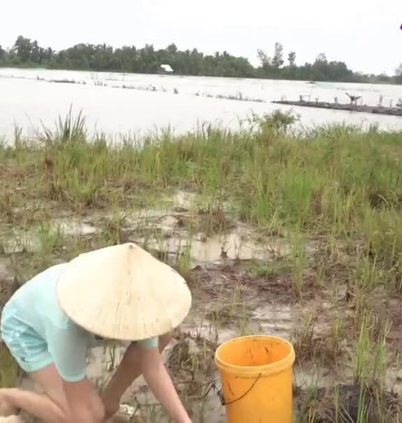 Preview for 85096441