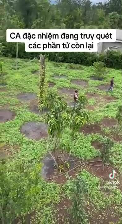 Preview for img 2341