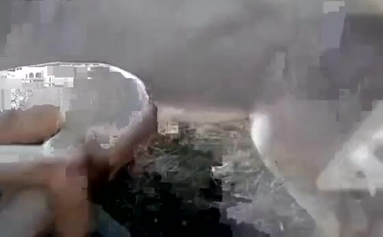 Preview for beastiality 1203