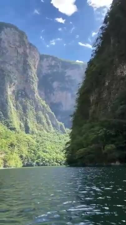 Preview for 87919543