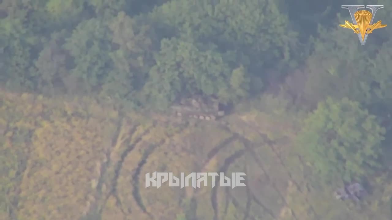 Preview for IMG 6783.MP4