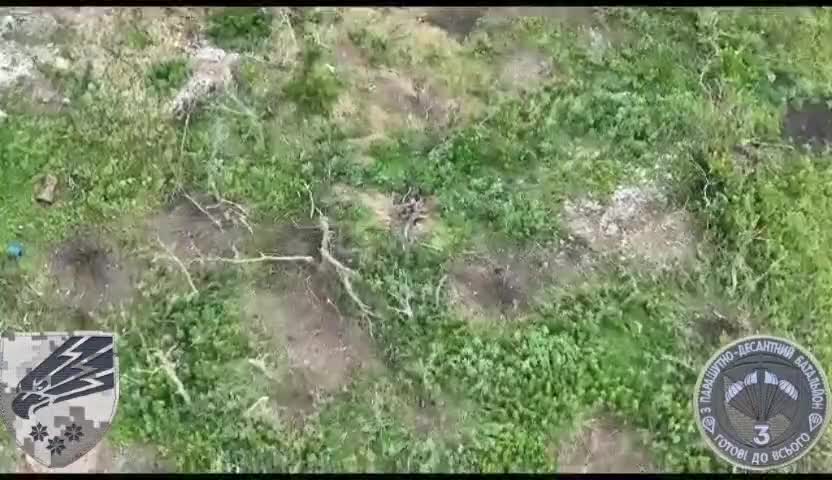 Preview for Getty on 3 Orcs was roasted by Ukrainian drone drop grenade 😎 zPm7o12OcY DrOYhLxuMF X