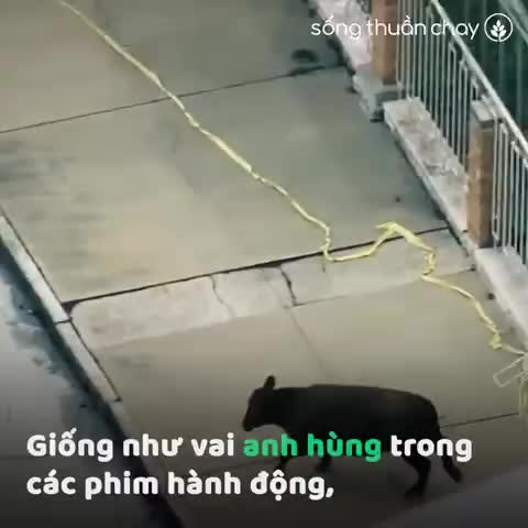 Preview for 33558294