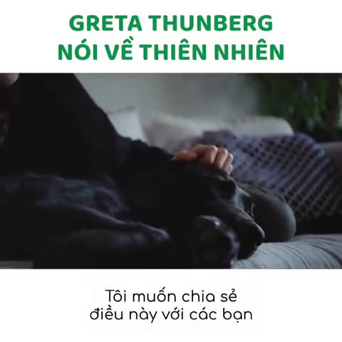 Preview for Hôm nay là ngày Môi trường Thế giới …