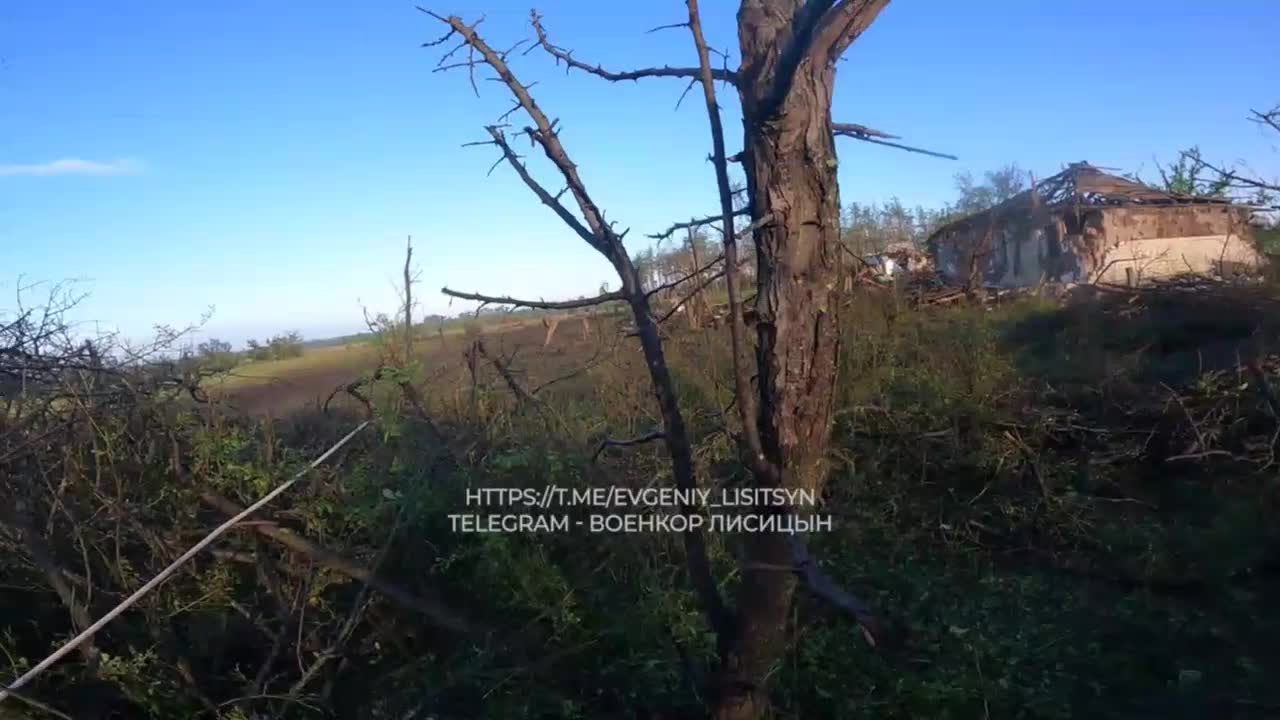 Preview for  2023 07 29 17 04 03