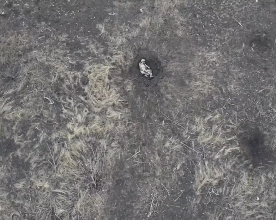 Preview for TOGA on X \'Imposing fines for illegally crossing the border #Ukraine 4boXJKjVzD\' X