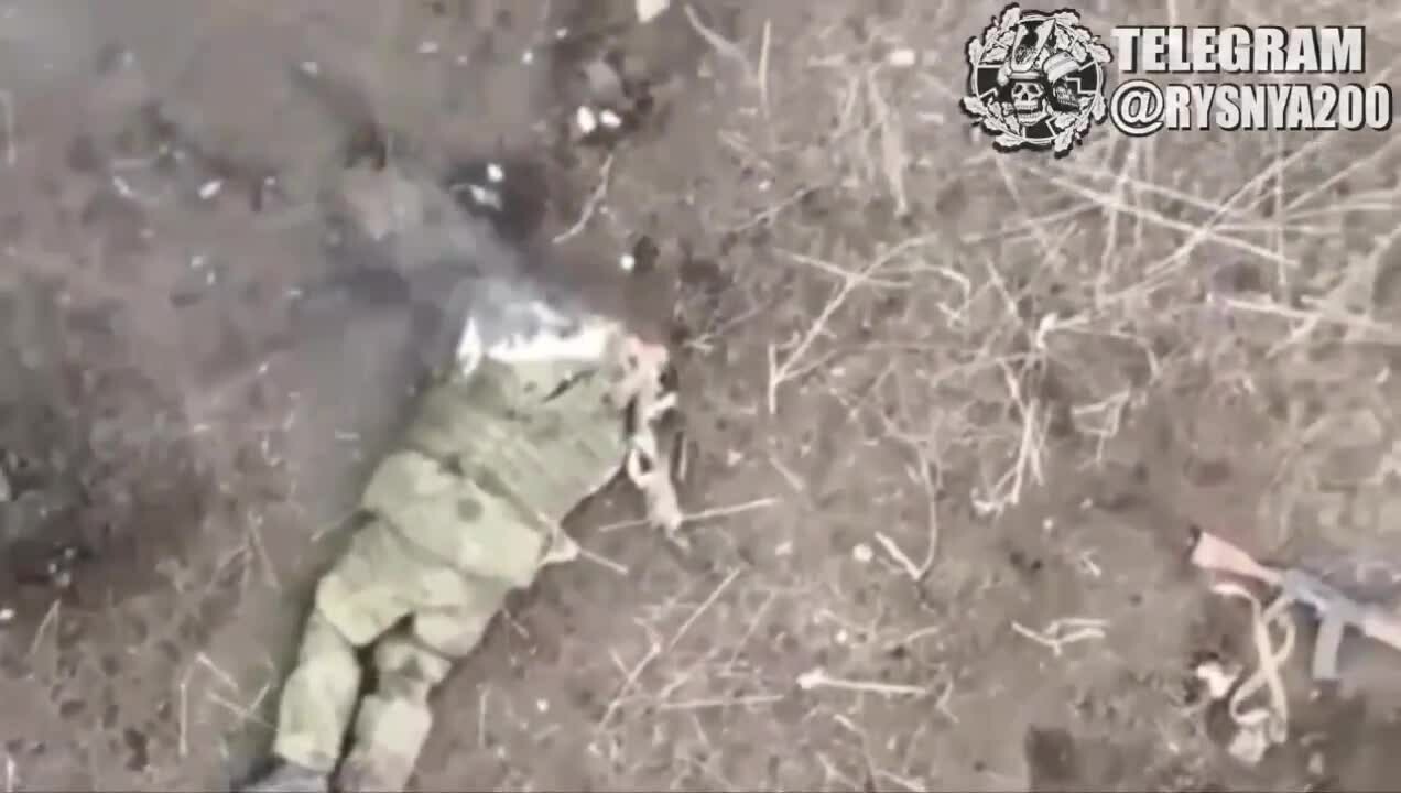 Preview for Svën Höek on X \'📢📢📢Where\'s Your Head At. RiOwIPLzw4\' X