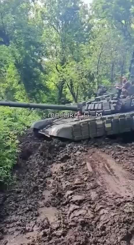 Preview for IMG 7371.MP4