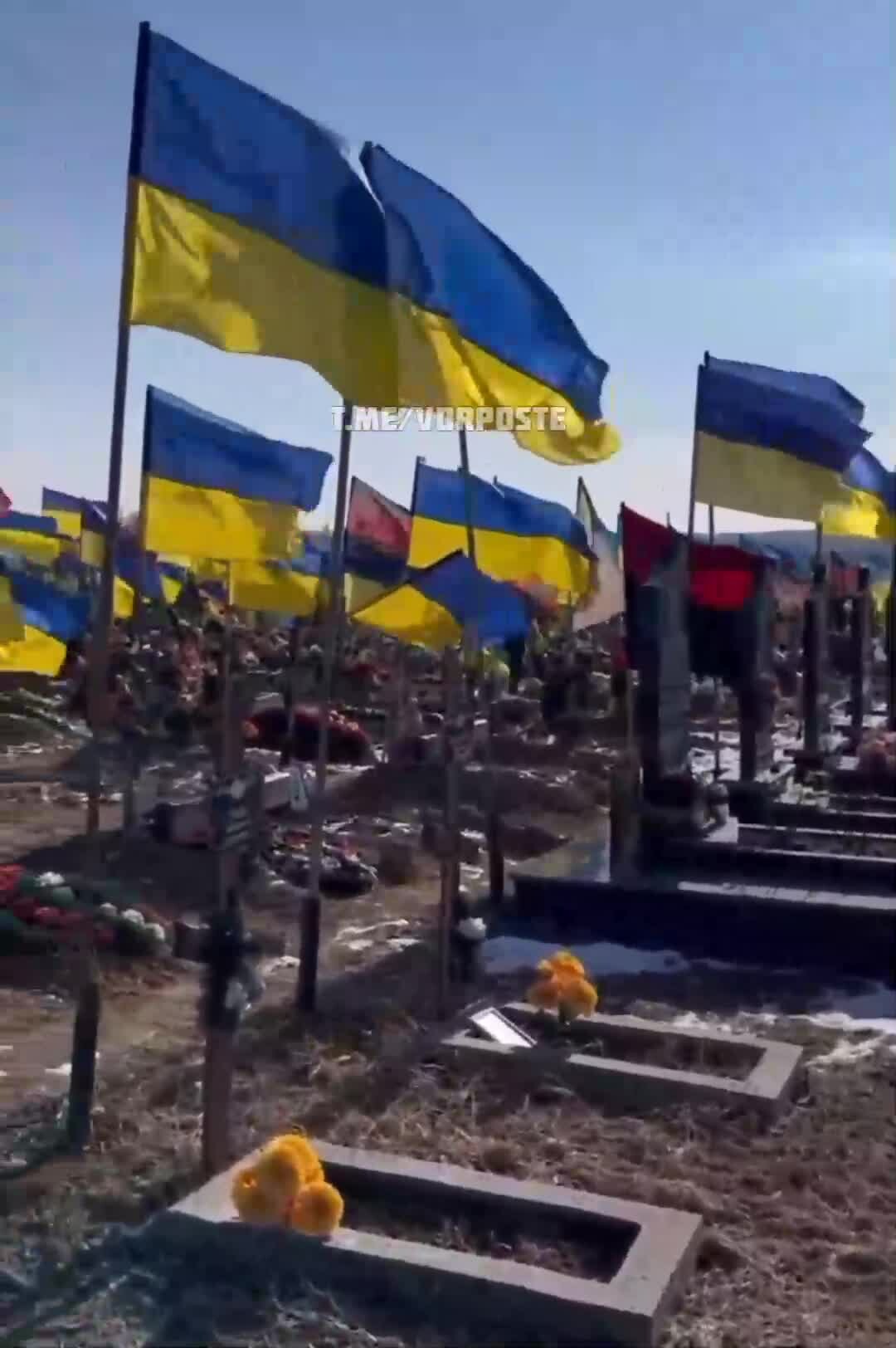 Preview for 29452852