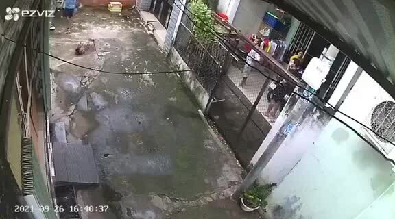 Preview for received 929758434281948