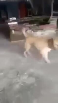 Preview for facebook (2)