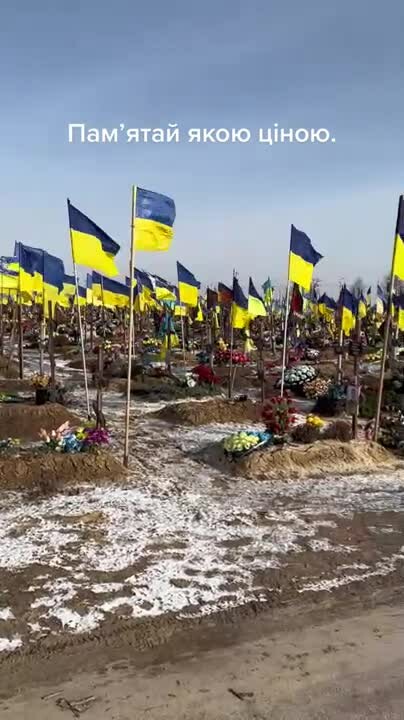 Preview for vid 20230316 095751 220