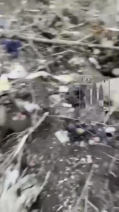 Preview for img 2284