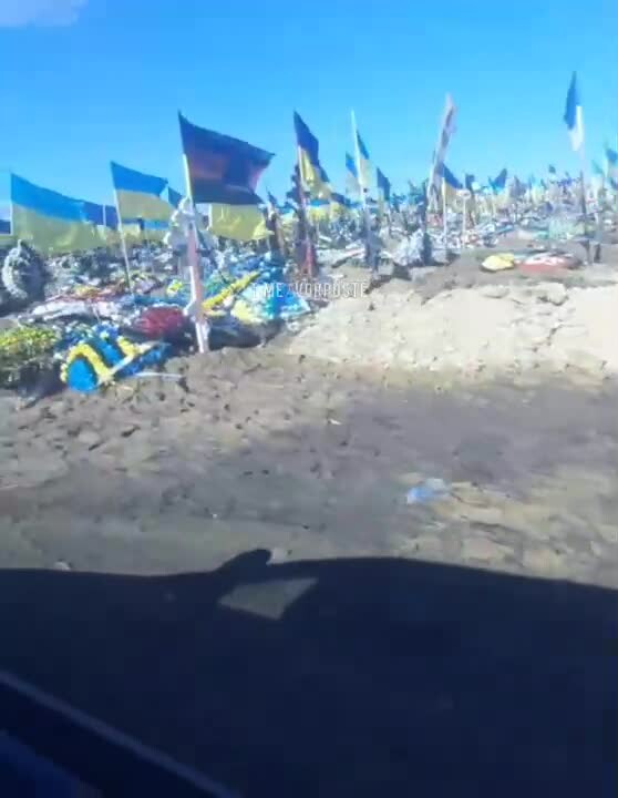 Preview for 11048413