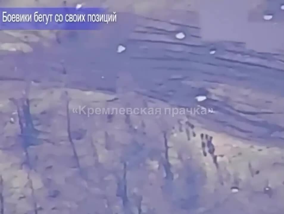 Preview for vid 20230321 013143 250