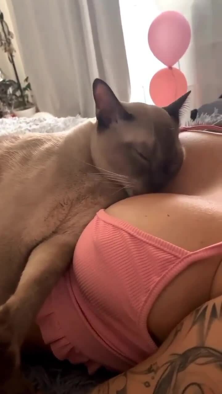 Preview for 20410336