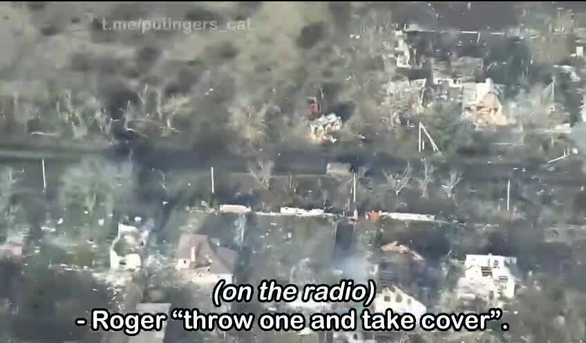 Preview for img 8123