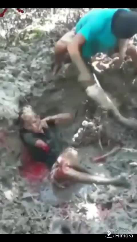 Preview for xuanhado4ino