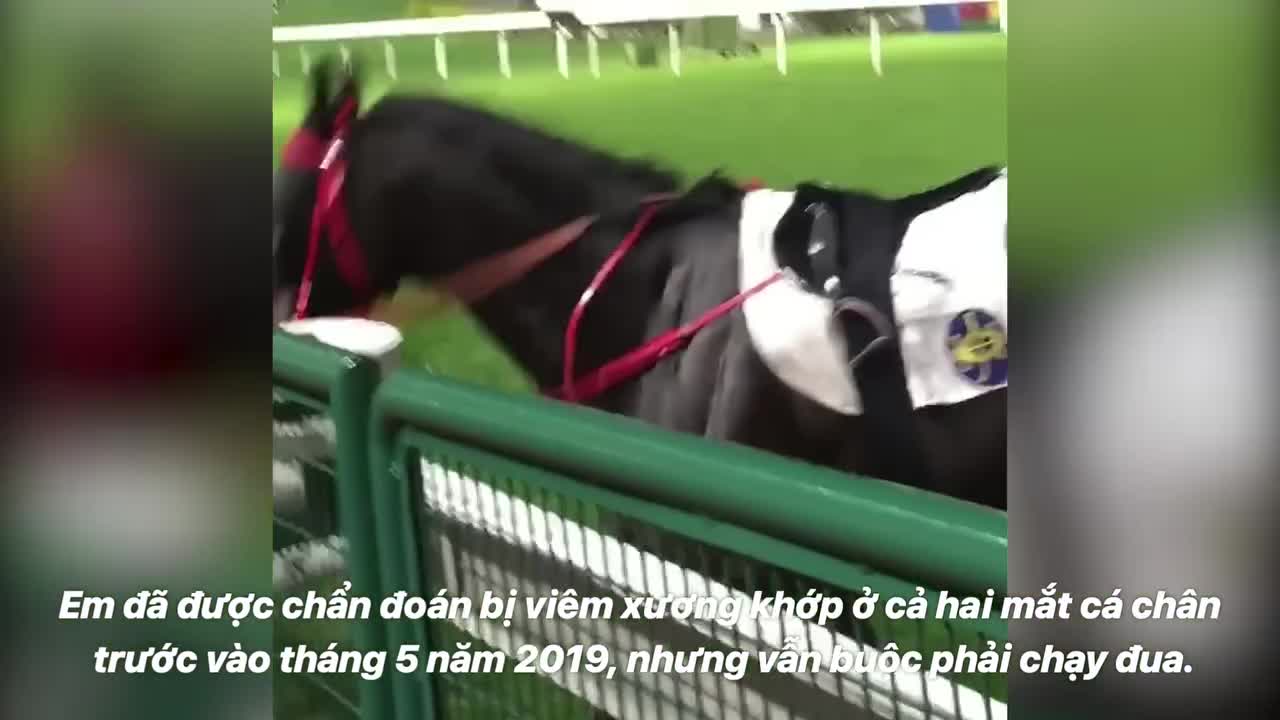 Preview for Bình luận