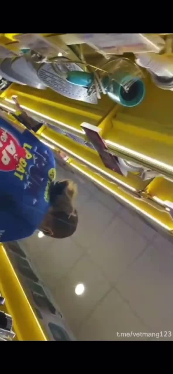 Preview for 29746881