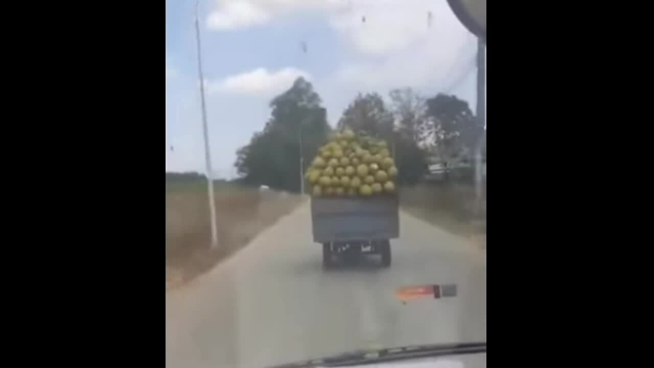 Preview for pha tạt đầu đòi lại công lý của xe bán tải gây nhiều tranh cãibáo dân trí (1)