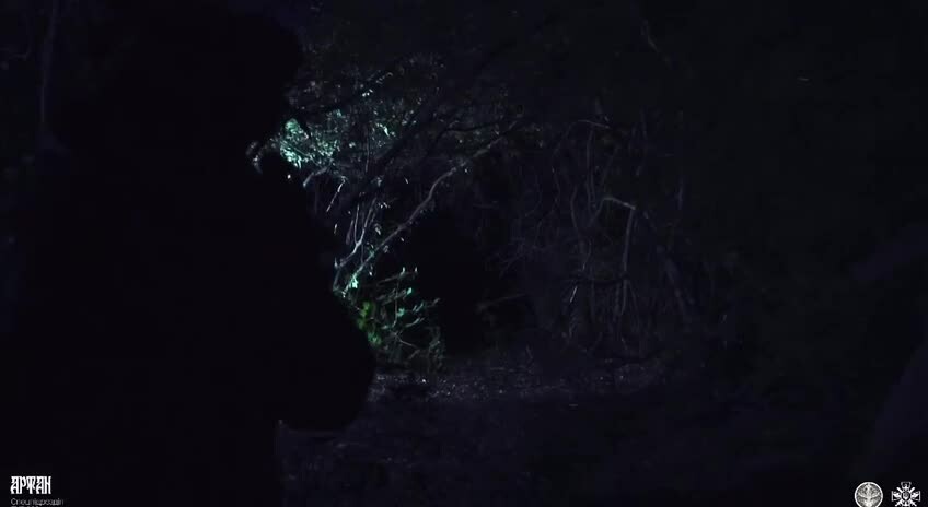 Preview for vid 20230706 214520 716