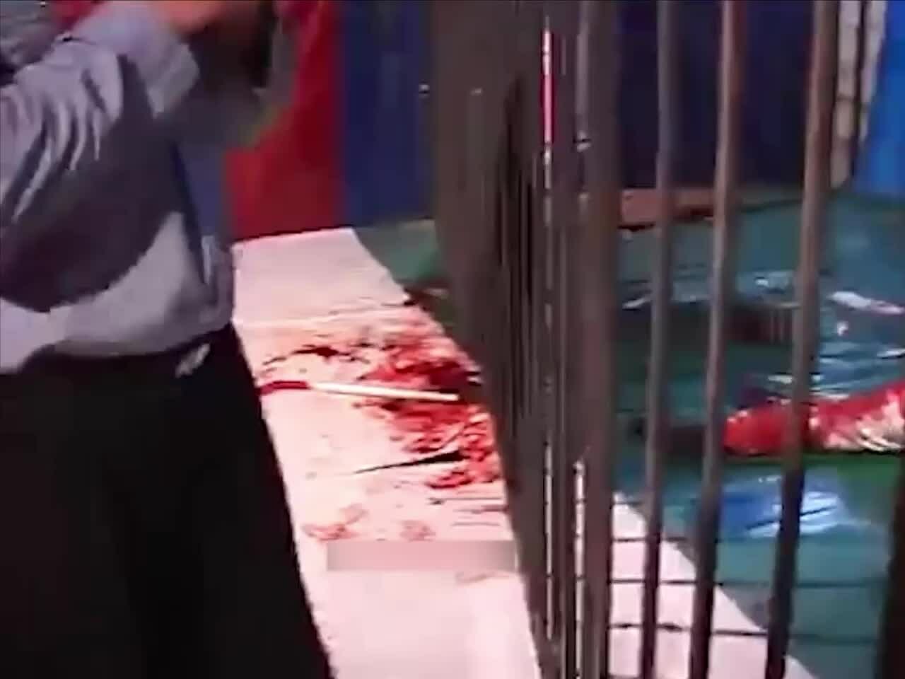 Preview for IMG 7065.MOV