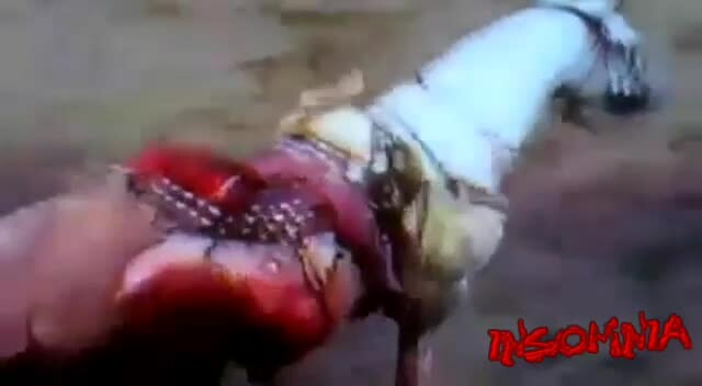 Preview for 68184741