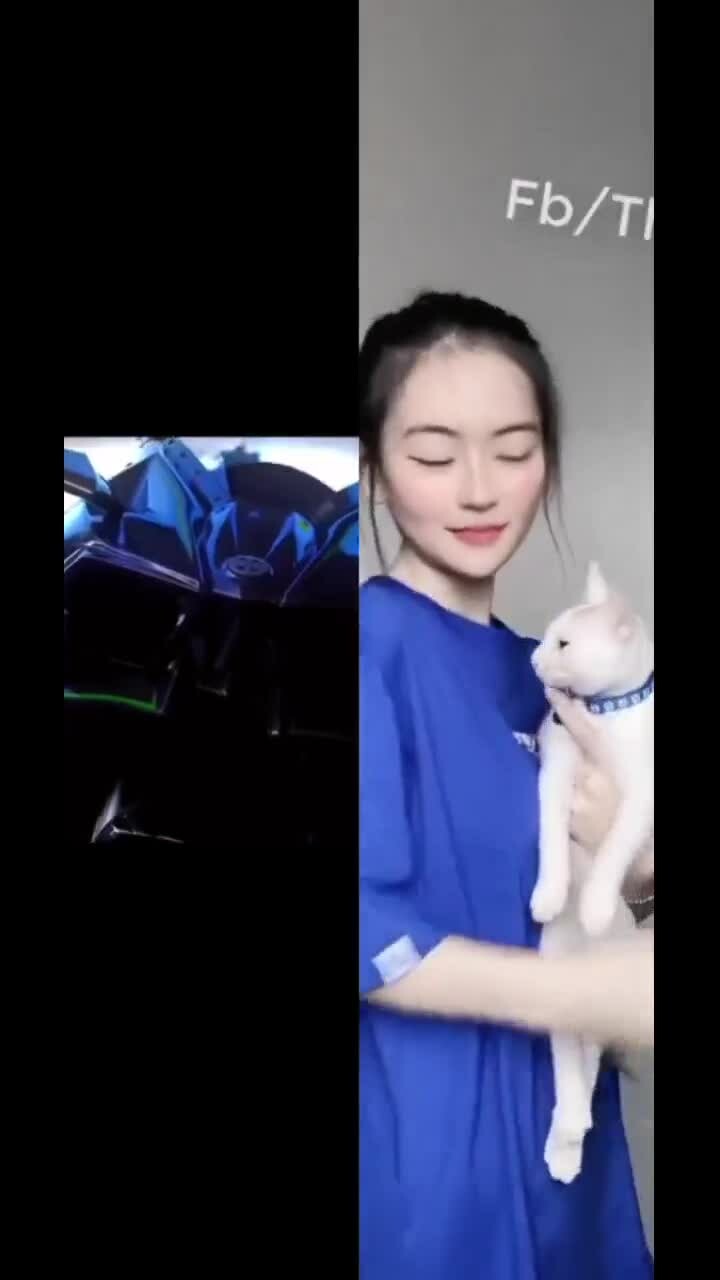 Preview for IMG 6302