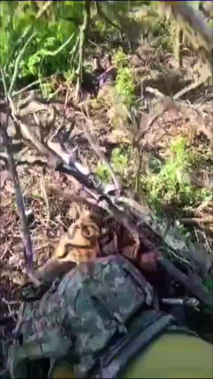 Preview for  2023 08 16 17 43 15