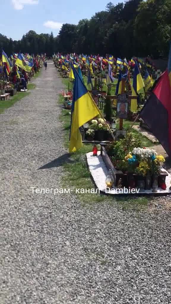 Preview for  2023 08 16 18 07 24