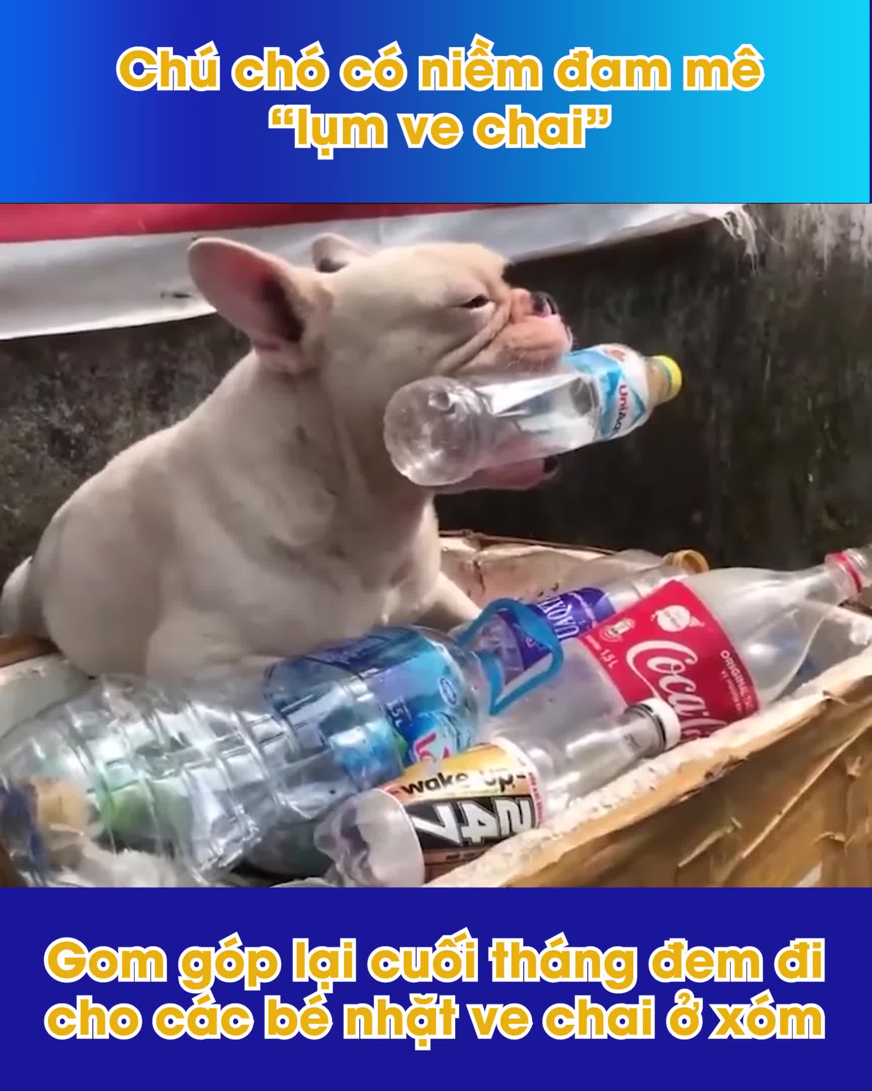 Preview for  1385666718962471