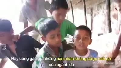 Preview for Nếu bạn mua giày dép, túi xách, áo khoác hay phụ kiện bằng da, là bạn đang ủng hộ cho việc gây ra nỗ…