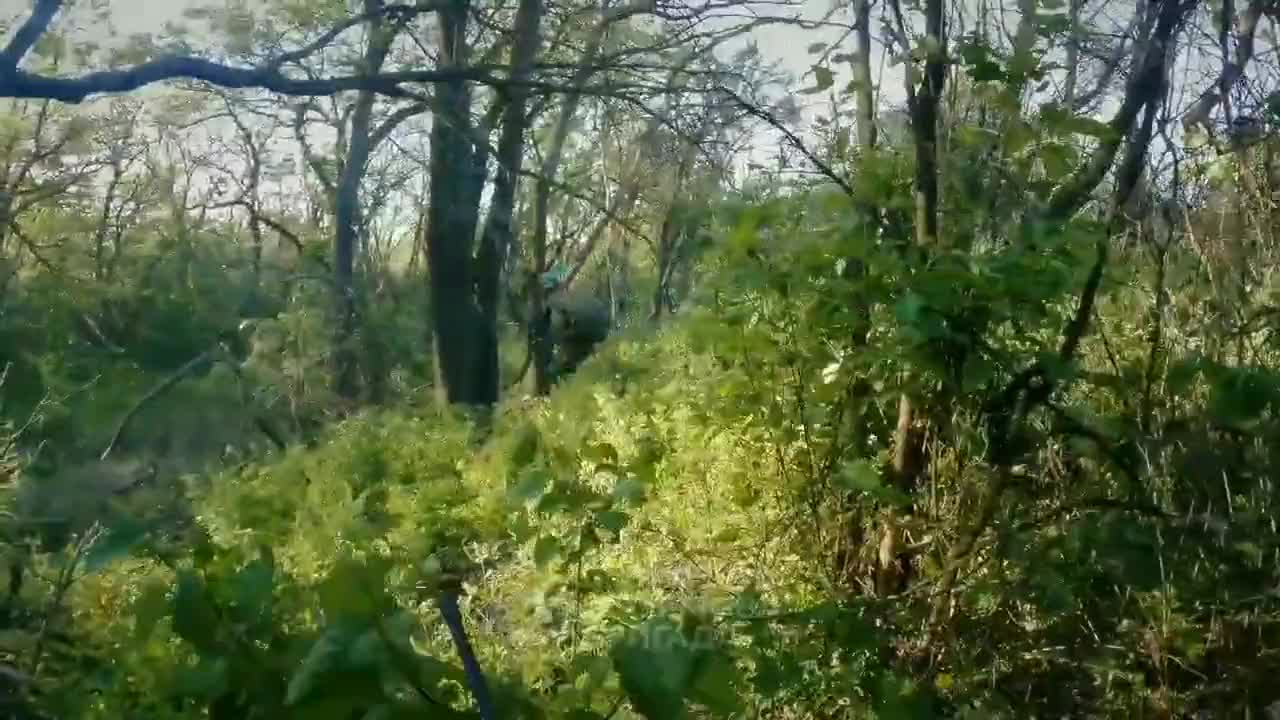 Preview for Мисливець за зорями on X An episode from the documentary about the 3rd Brigade\'s counteroffensive in the Bakhmut sector Intense small arms and close combat in the trenches, the prompt evacuation of a comrade in arms, 