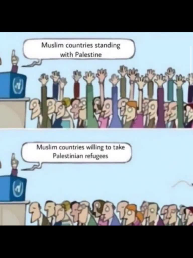 Preview for  App 7290503099393903880