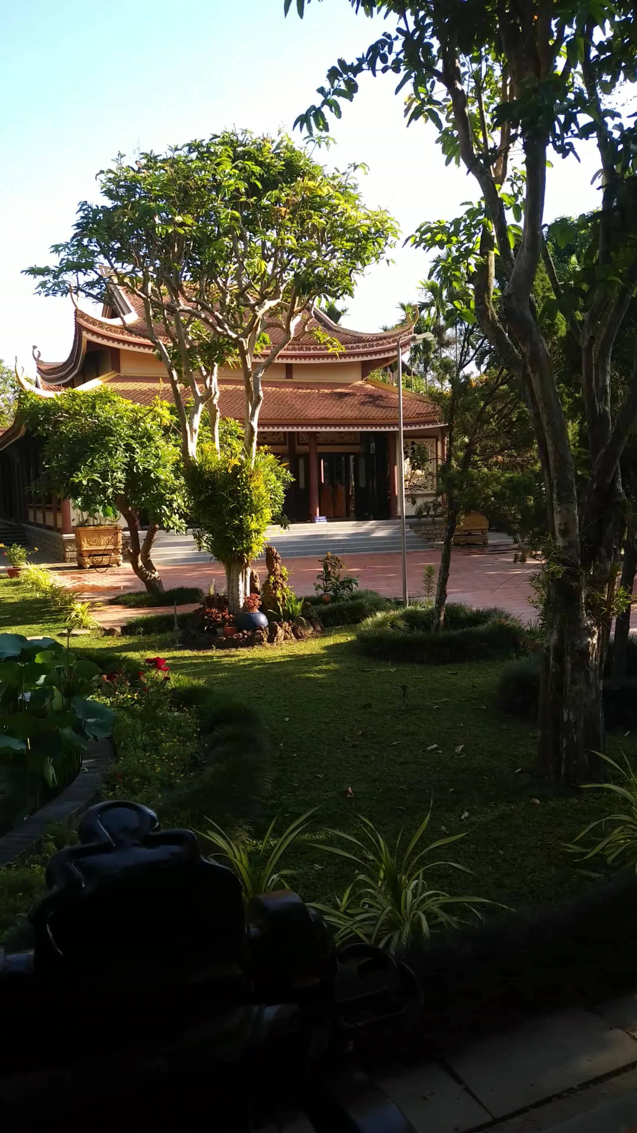 Preview for MOV 20230503 0728526~3