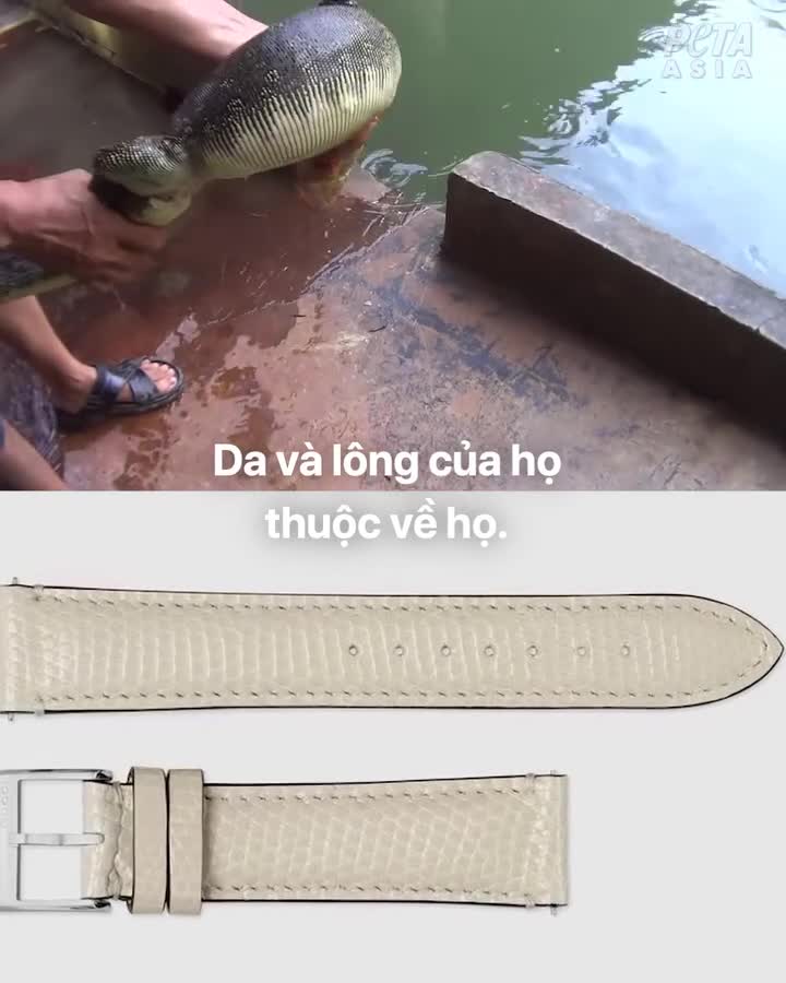 Preview for Bình luận