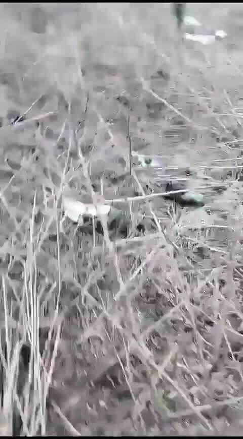 Preview for TOGA on X \'Russian tank today near Ugledar #UkraineWar o6PLy8UGtQ\' X