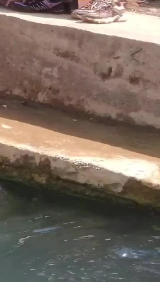 Preview for 83968672