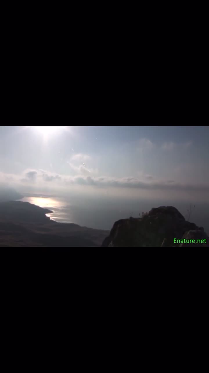 Preview for 39396904