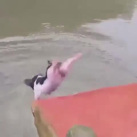 Preview for vid 20230426 173129 989