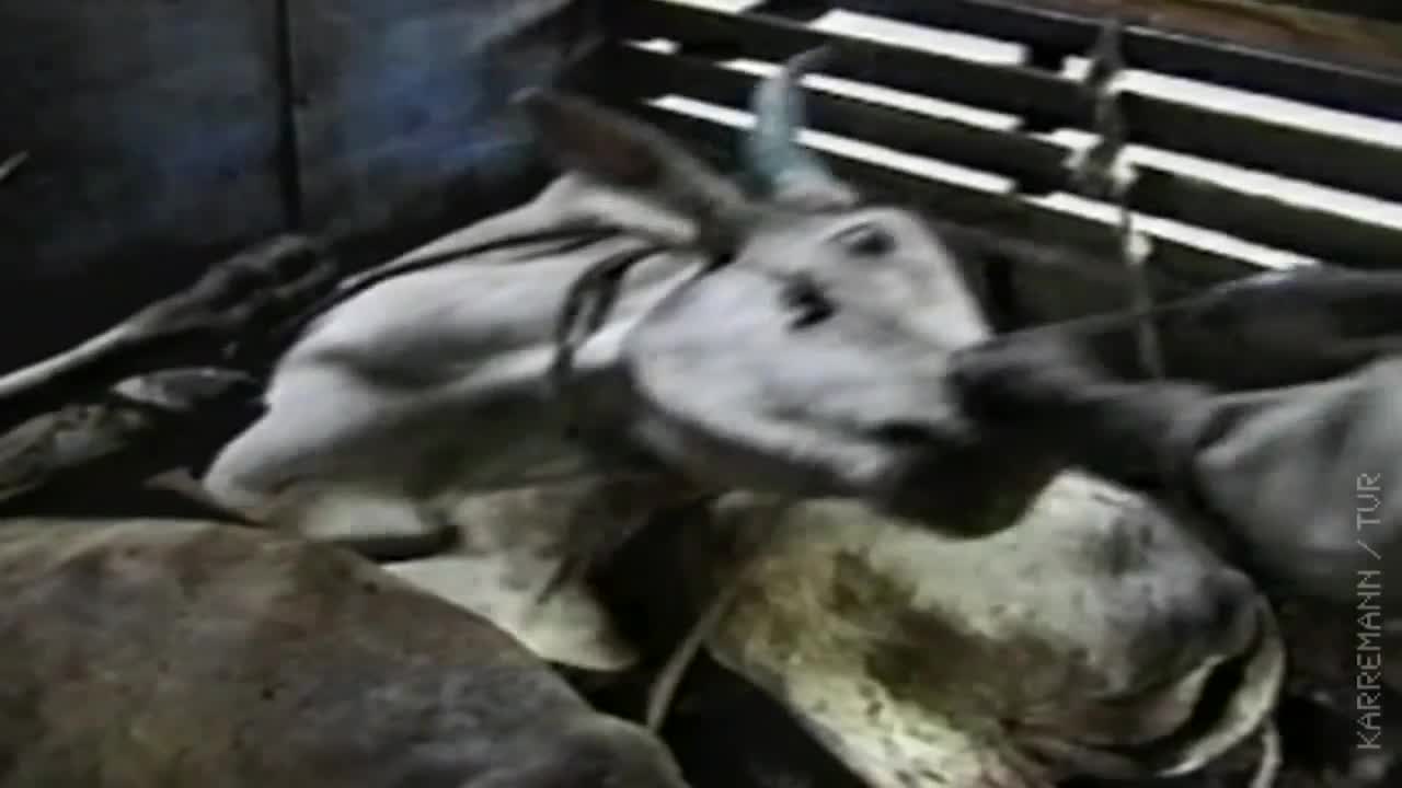 Preview for Bình luận