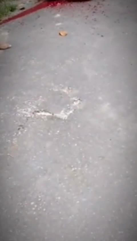 Preview for lv 7272667454336290049 20230904150403