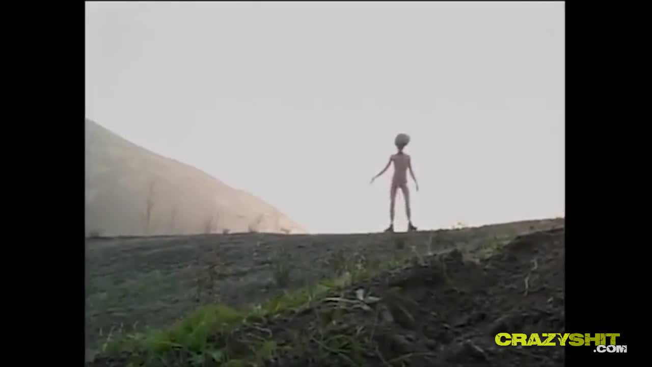 Preview for CrazyShi m WHORE ENCOUNTER THE SLUTTY KIND Crazy Shit